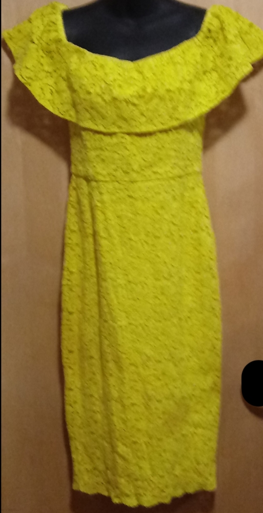 Zara Basic Stunner! Sunflower Lace Cocktail Dress
